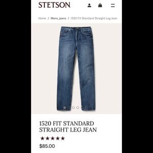 NWT🤩|•STETSON•| No. 1520 Standard Straight Leg Jeans Size W29 L40